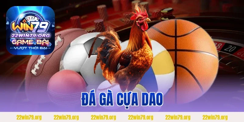 Đá Gà Cựa Dao Kết Hợp Hoàn Hảo Giữa Kỹ Thuật Và Chiến Thuật
