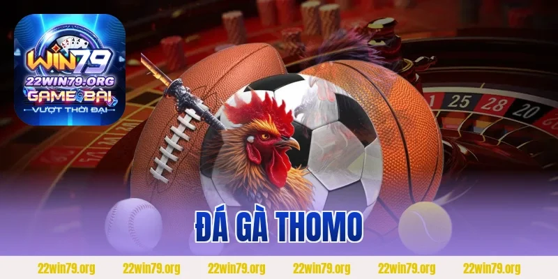 Đá Gà Thomo – Thể Thao Truyền Thống Của Người Đam Mê Đá Gà