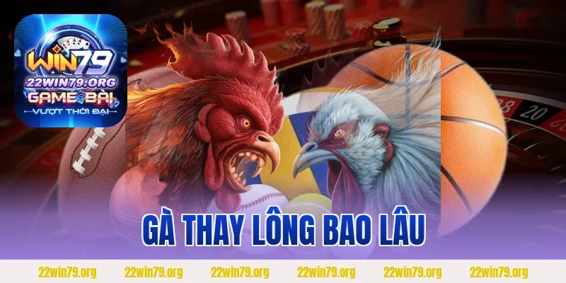 Gà Thay Lông Bao Lâu Và Các Yếu Tố Ảnh Hưởng Đến Thời Gian
